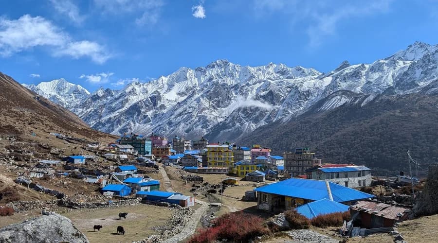Langtang Valley Trek
